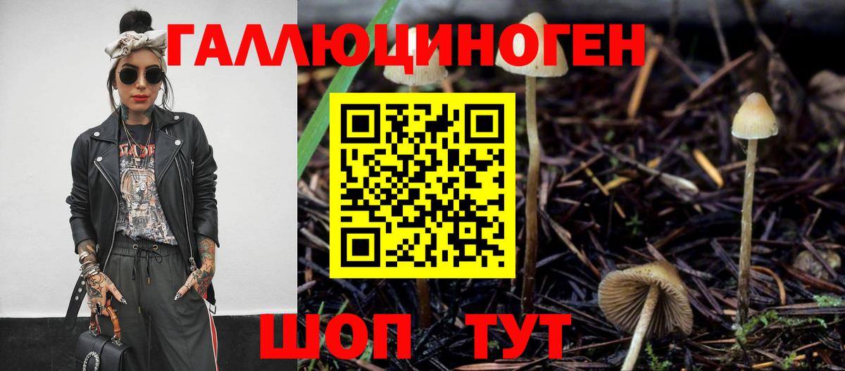Галлюциногенные грибы GOLDEN TEACHER  Вход с VPN  Янаул 