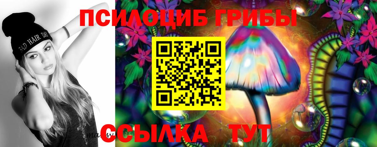 Псилоцибиновые грибы Psilocybe Янаул